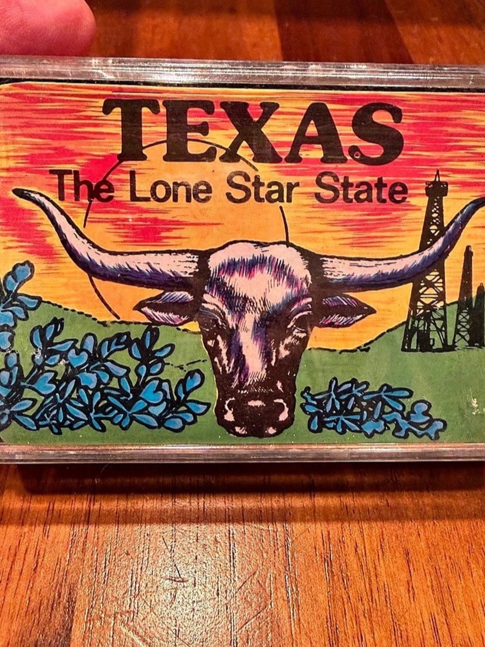 Vintage Texas Souvenir Playing Cards Deck Hard Plastic Case Hong Kong Complete